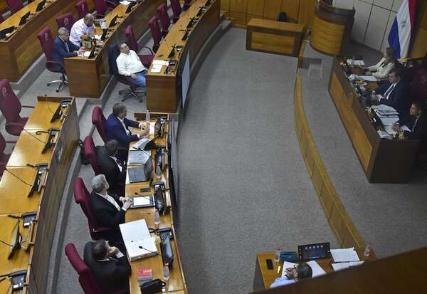 Comisión “garrote”: Estos fueron los fulminantes argumentos contra relato cartista - Política - ABC Color