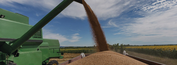 Industrialización de la soja: ¿Qué factores limitan el crecimiento de la cadena de valor del grano en Paraguay? - MarketData