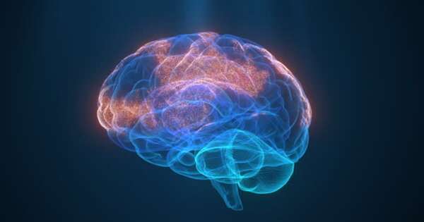 La Nación / Experto aconseja comenzar a cuidar la salud cerebral desde los 40 años