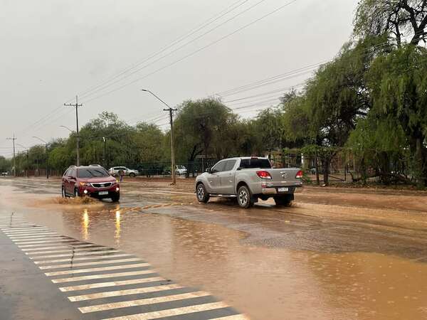 Mansa lluvia riega el Chaco central - Noticias del Chaco - ABC Color