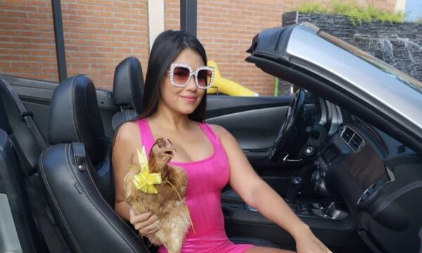 [VIDEO] “Hortensia”, la gallina de Laurys; ¡tiene un embarazo psicológico!