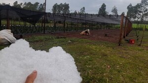 Tormenta afecta viviendas y genera pérdida de cultivos en Misiones