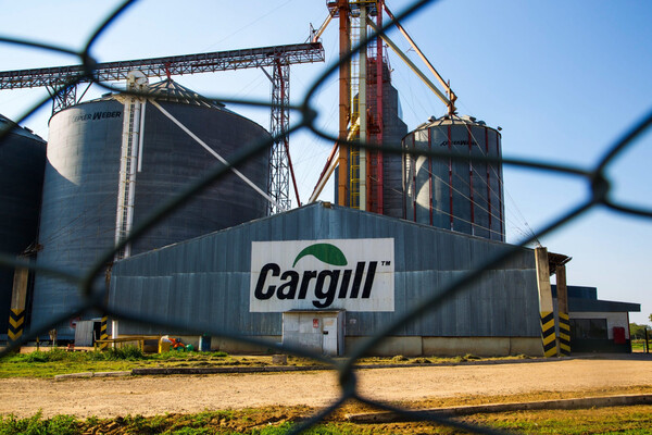 La cultura de Cargill: basada en la inclusión, la diversidad y el respeto hacia los colaboradores | Eventos - Premiaciones | 5Días