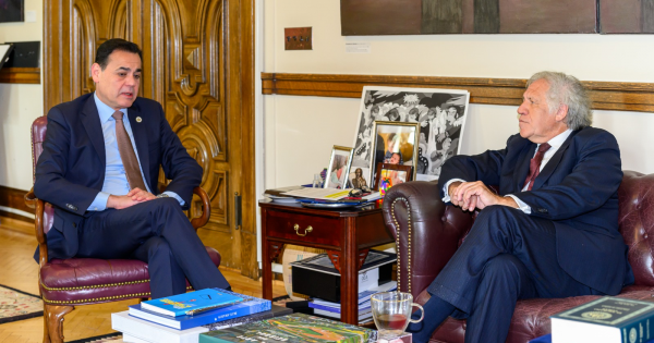El canciller se adelanta a un posible revés y baja su candidatura en la OEA