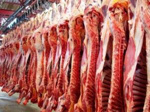Exportaciones de carne bovina superan los US$ 1.400 millones al cierre de octubre