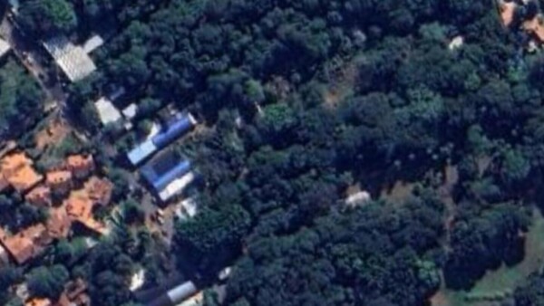 Isla de Francia: Denuncian tala de casi 100 árboles y exigen claridad en obras