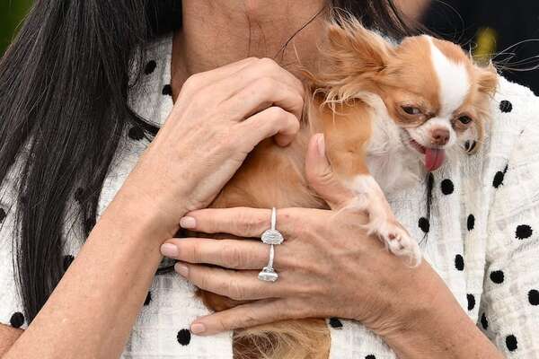 Beneficios de tener una mascota en la tercera edad - Mascotas - ABC Color