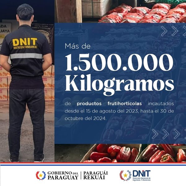Incautan más de 1.500.000 kilos de productos frutihortícolas - 1000 Noticias