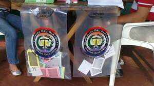 Reforma electoral: los cambios que busca el TSJE antes de las próximas elecciones - Nacionales - ABC Color