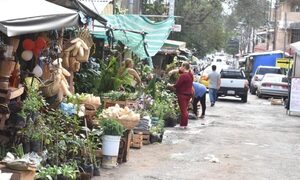 Inicia el “operativo verano” en el Paseo de los Yuyos del Mercado 4