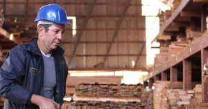 La Nación / Nueva inversión en Caazapá fortalece desarrollo de industria forestal