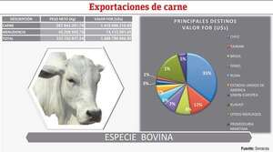Ingresos por exportación de carne crecieron en un 30% hasta octubre - Económico - ABC Color