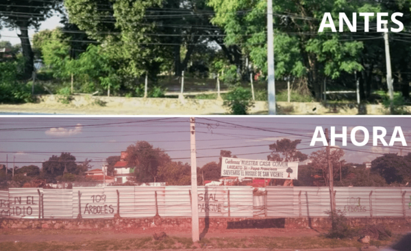 El bosque que perdió San Vicente: “Una desgracia para el barrio y para los asuncenos es esto”