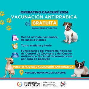 Operativo Caacupé 2024 busca evitar brotes de rabia en canes y felinos - 1000 Noticias