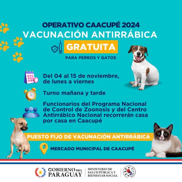 Operativo Caacupé 2024 busca evitar brotes de rabia en canes y felinos - 1000 Noticias