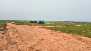Canindeyú: Supuestos campesinos armados invaden tierras en Yasy Cañy