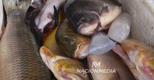 La Nación / La veda pesquera arranca el 4 de noviembre