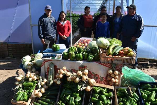 Campesinos entregarán productos hortícolas gratis a la ciudadanía en protesta contra el MAG - Nacionales - ABC Color