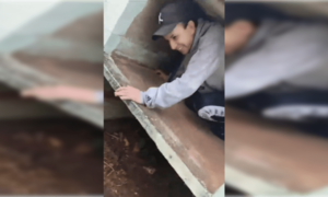 Detienen a un hombre con prisión domiciliaria escondido en un panteón en el Día de los Fieles Difuntos