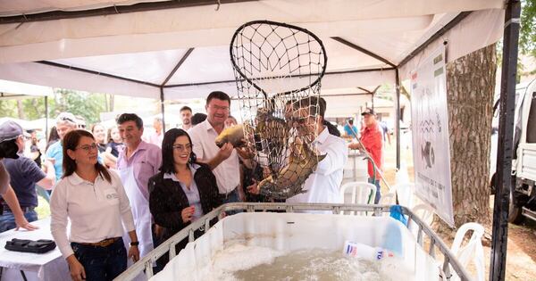 La Nación / Alto Paraná: exitosa feria de peces y gastronomía para pequeños piscicultores