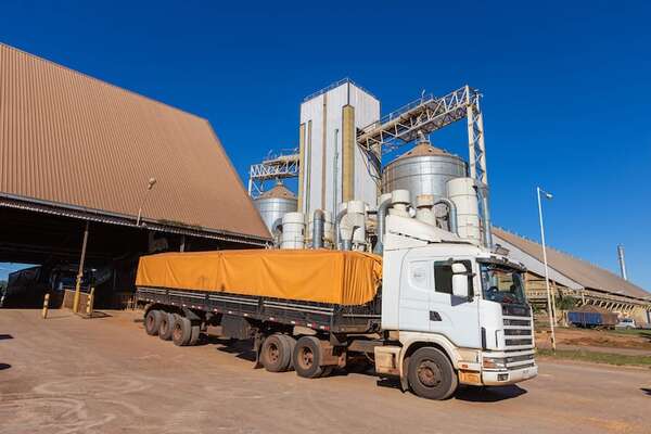 Mientras el Paraguay bate récord en exportar, Argentina lo hace en procesar soja - Economía - ABC Color