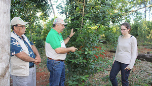 Yerba Mate Bajo Monte, un proyecto que impulsa la sostenibilidad y el desarrollo comunitario
