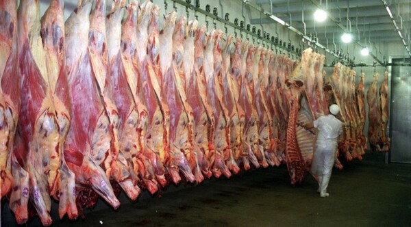 En octubre se exportó carne bovina por USD 1.400 millones