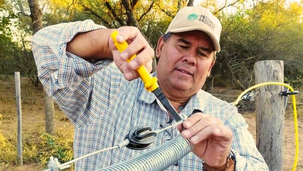 Anibal Ferreira: “Este sistema permite una alta productividad y asegura la sostenibilidad del establecimiento” | Agronegocios | 5Días