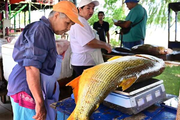 Veda pesquera: ¿hasta cuándo se puede comprar pescado en Remanso? - Nacionales - ABC Color