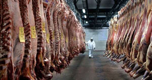La Nación / Chile y Taiwán lideran compras de carne paraguaya a octubre
