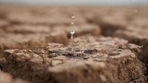 Vecinos de Limpio denuncian más de 5 días sin agua en San Miguel de Piquete Cué - SNT