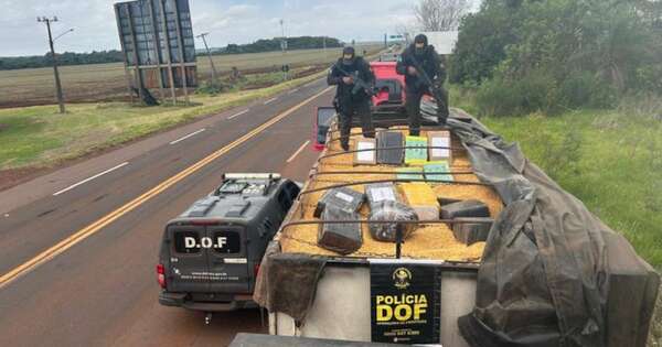 La Nación / Apresan a conductor de camión que transportaba 12.300 kilos de marihuana prensada