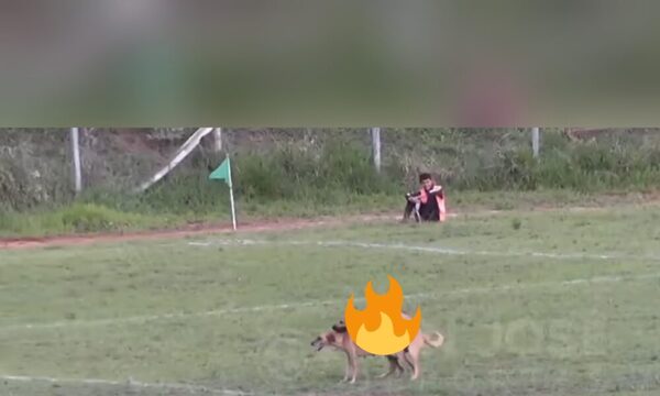 (VIDEO)Guarará en partido por “apareamiento” en el campo en plena asistencia de falta