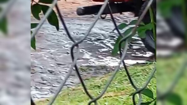 Lío entre vecinos porque uno arroja aceite negro en la calle cada vez que lava su camio