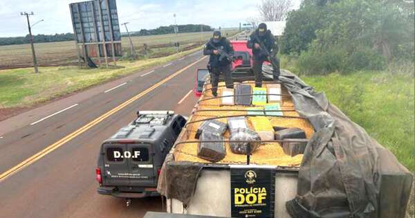 La Nación / Apresan a conductor que transportaba más de 12.000 kg de marihuana