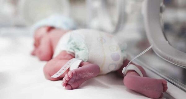 Semana del Prematuro 2024: Webinar sobre preparación del cuerpo para el embarazo se realizará este martes 5 de noviembre