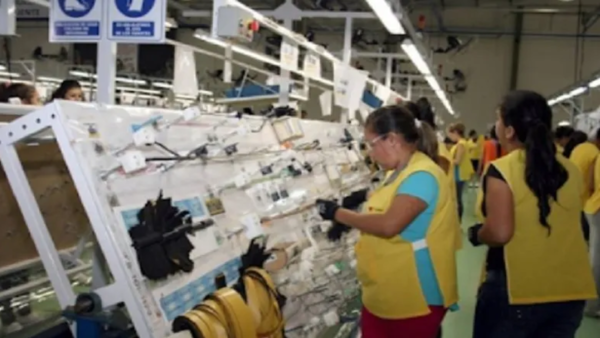 Ministerio de Trabajo ofrece más de 200 puestos laborales