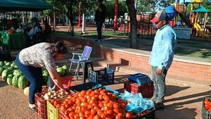 Buena producción de tomate y sandía en feria agrícola de Concepción