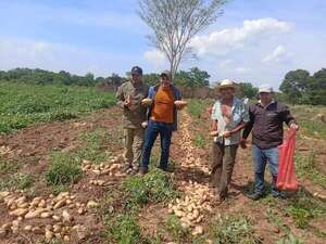 Excelente cosecha de rubros hortícolas alienta a productores caazapeños - Economía - ABC Color