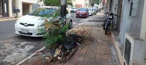 La Asunción de Nenecho: el centro está en ruinas, sucio e inseguro - Nacionales - ABC Color