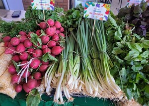 Familias de Central ofertan productos del campo sin intermediarios en el Multiplaza - .::Agencia IP::.