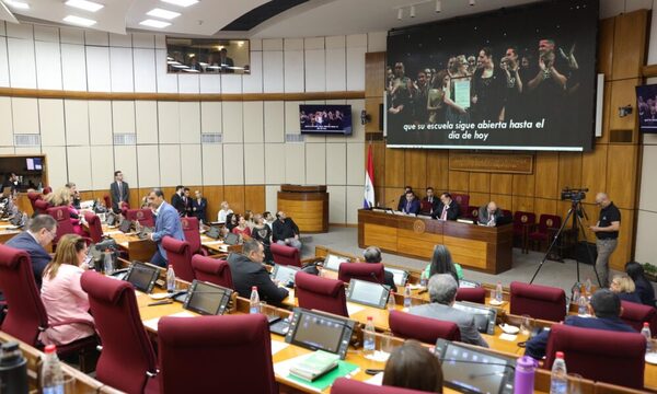 Sesión extra: festival de ausencias de legisladores casi deja al Senado sin sesionar este miércoles