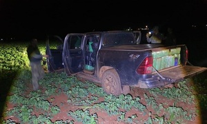 Abandonan una camioneta con 1000 kilos de marihuana