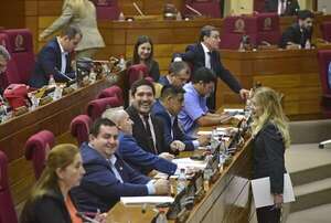 PGN 2025: Diputados ya tiene fecha para decidir sobre vales de combustible y seguro vip - Economía - ABC Color