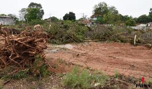 El último adiós al bosque urbano de San Vicente | Pausa