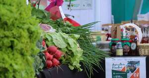 La Nación / Diputados crean comisión especial para estudio de reforma agraria y seguro agrícola
