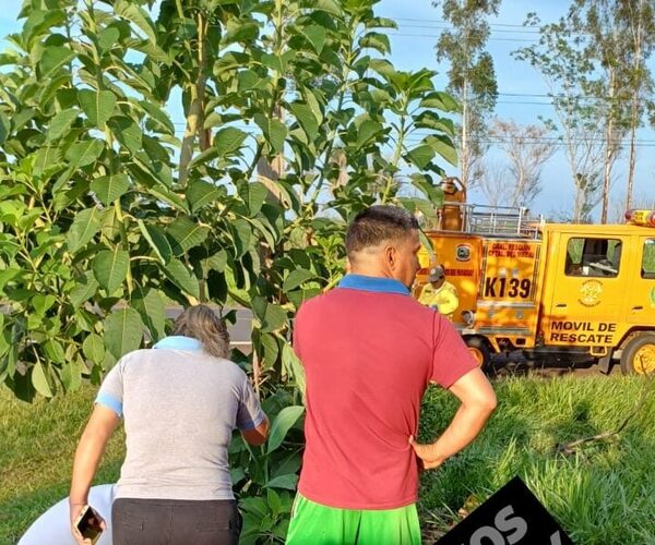 Profesor y su sobrina mueren atropellados cuando esperaban el bus