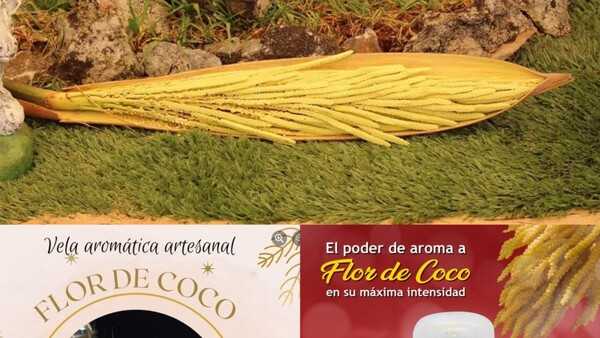 Fin de año con olor a flor de coco en velas e inciensos
