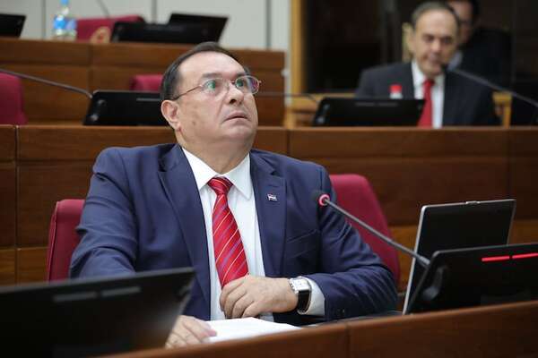 Vicepresidente del Senado habla de “ir más allá” por viaje injustificado de parlamentarios a EE.UU. - Política - ABC Color