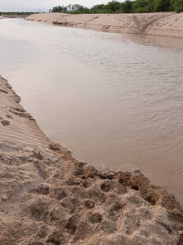 Precipitaciones en Bolivia contribuyen a caudal del río Pilcomayo